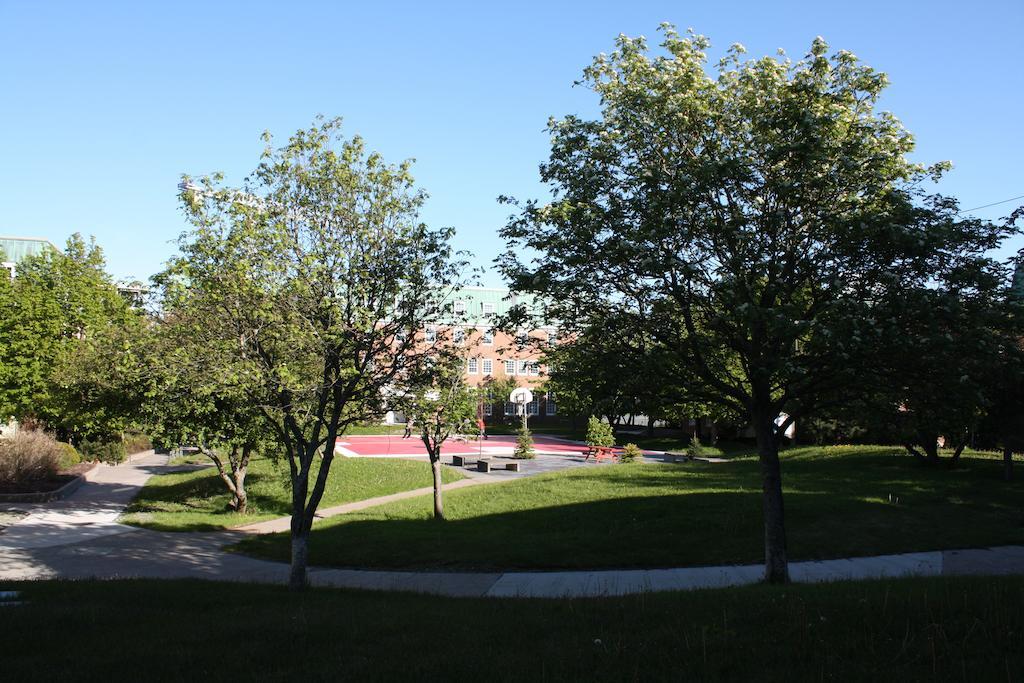 Memorial University 세인트존스 외부 사진