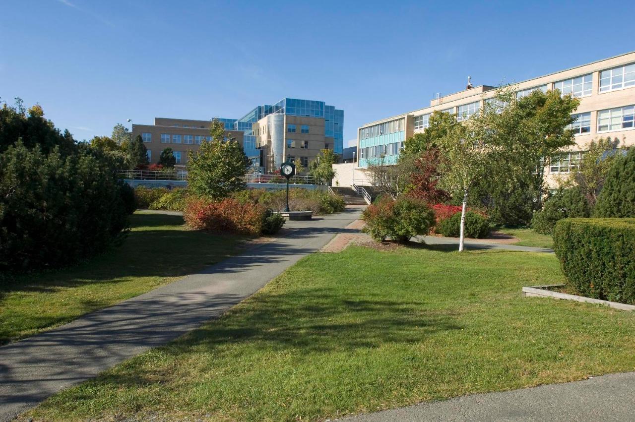 Memorial University 세인트존스 외부 사진